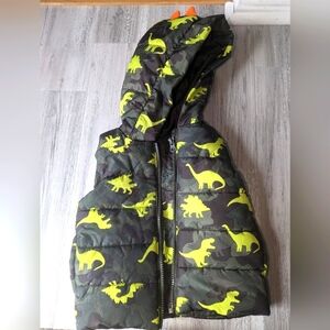 Dinosaur puffy vest 18 m